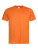 S140 Classic-T - S140_Orange - variant Ls 1000297978