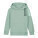 Mini Cruiser 2.0 kids' hoodie - stsk180-aloe_packshot_main_front - variant Eg STSK180C08912
