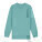 Mini Changer 2.0 kids' sweatshirt - stsk181-tealmonstera_packshot_main_front - variant Eg STSK181C06003