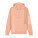 Cruiser 2.0 unisex hoodie - stsu177-fraichepeche_packshot_main_front - variant Eg STSU177C101XS