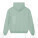 Cooper Dry unisex boxy hoodie - stsu797-aloe_packshot_main_back - variant Eg STSU797C0891L