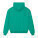 Cooper Dry unisex boxy hoodie - stsu797-gogreen_packshot_main_back - variant Eg STSU797C1001L