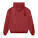 Cooper Dry unisex boxy hoodie - stsu797-redearth_packshot_main_back - variant Eg STSU797C0861L