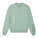 Ledger Dry unisex boxy sweatshirt - stsu798-aloe_packshot_main_front - variant Eg STSU798C0893X