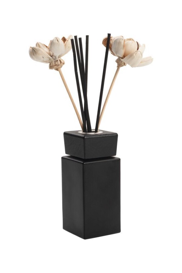 SANUKI Diffuser