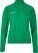 Ladies' Training Jacket with 1/4 Zip Evolve 2.0 Half Zip W - ps-824761-craft-tw-evolve-2-0-half-zip-w-team-green-front-4fa7a5af-d5b5-4b9c-a8ff-d12b0511e0ba-web - variant 