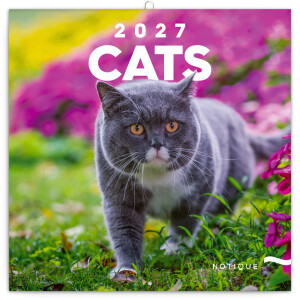 NOTIQUE Notepad Cats 2027, 30 x 30 cm - Reklamnepredmety