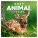NOTIQUE Calendar Cubs 2027, 30 x 30 cm - pgp-36314-v_tit - variant Pg PGP-36314-V