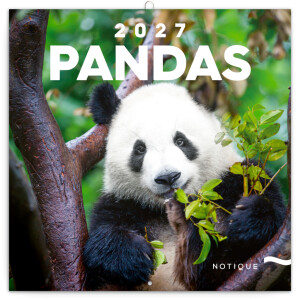 NOTIQUE Pandas 2027 Notepad, 30 x 30 cm - Reklamnepredmety