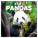 NOTIQUE Pandas 2027 Notepad, 30 x 30 cm - pgp-36316-z_tit - variant Pg PGP-36316-Z