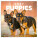 NOTIQUE Notepad Puppies 2027, 30 x 30 cm - pgp-36320-v_tit - variant Pg PGP-36320-V