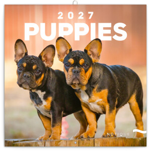 NOTIQUE Notepad Puppies 2027, 30 x 30 cm - Reklamnepredmety