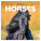 NOTIQUE Calendar Horses – Christiane Slawik 2027, 30 x 30 cm - pgp-36821-v_tit - variant Pg PGP-36821-V