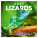 NOTIQUE Calendar Lizards 2027, 30 x 30 cm - pgp-36826-v_tit - variant Pg PGP-36826-V