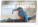 NOTIQUE Desk calendar Czech birds CZ 2027, 23.1 x 14.5 cm