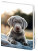 Notebook for Children - Pup