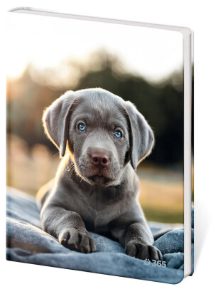 Notebook for Children - Pup - Reklamnepredmety