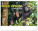 NOTIQUE Wall calendar Living Africa 2027, 48 x 33 cm