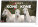 NOTIQUE Table calendar Horses - Horses CZ/SK 2027, 23.1 x 14.5 cm