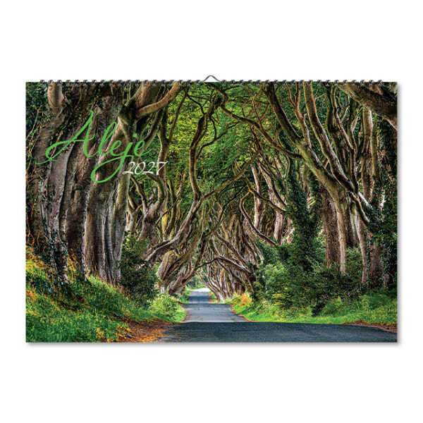 Wall calendar Alley 2027