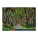 Wall calendar Alley 2027