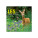 Wall calendar The Forest and Its Stories 2027