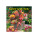 Wall calendar World of Flowers 2027