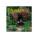 Wall calendar Gardens square 2027