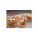 Wall calendar Passion 2027