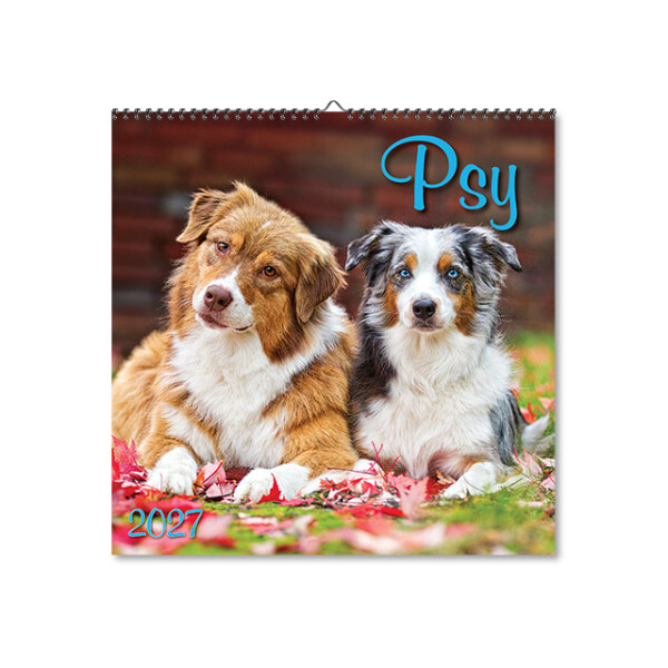 Wall calendar Dogs 2027