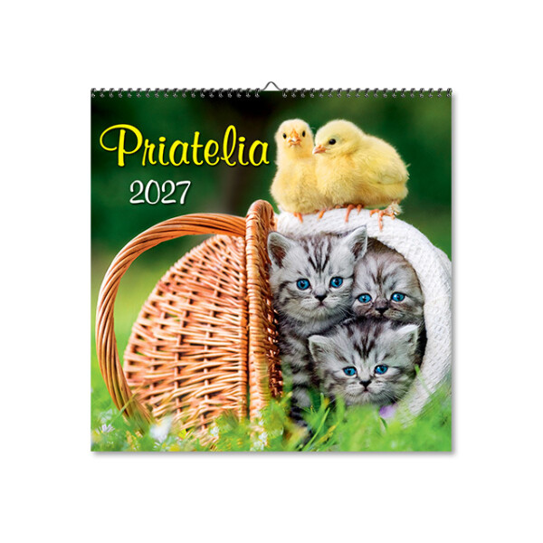 Wall calendar Friends 2027