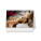 Desk calendar Girls 2027
