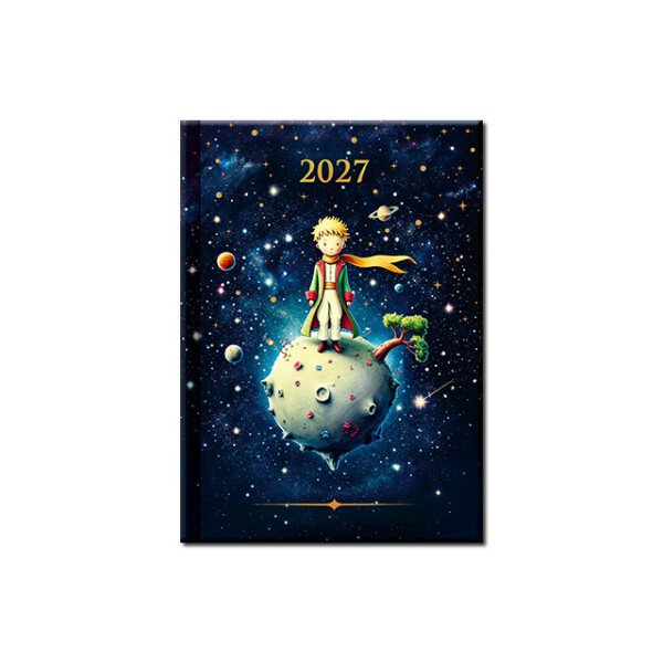 Praktik daily diary A6 PRINC 2027