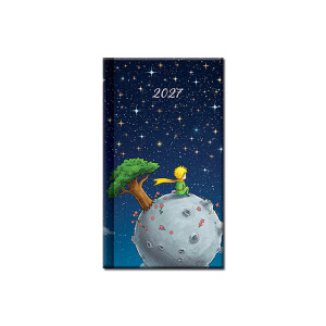 Mini diary A6 ART LITTLE PRINCE 2027