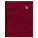 Manager diary A4 NEAPOL burgundy 2027