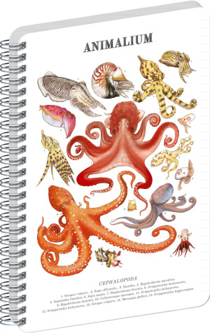NOTIQUE Spiral notebook Animalium – Cephalopods, lined, A5 - Reklamnepredmety