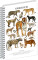 NOTIQUE Spiral notebook Animalium – Felines, squared, A4