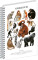 NOTIQUE Spiral notebook Animalium – Primates, squared, A4 - a-37267_tit - variant Pg A-37267