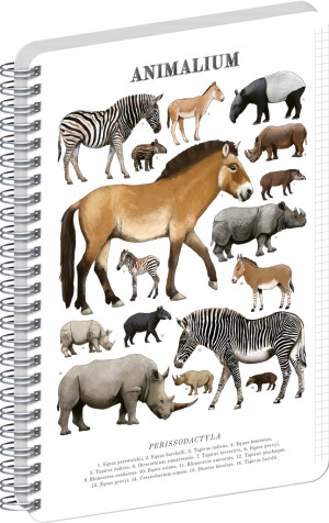 NOTIQUE Spiral notebook Animalium – Even-toed ungulates, squared, A4 - Reklamnepredmety