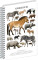 NOTIQUE Spiral notebook Animalium – Even-toed ungulates, squared, A5