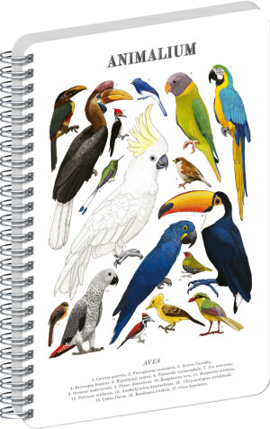 NOTIQUE Spiral notebook Animalium – Birds, clear, A5 - Reklamnepredmety