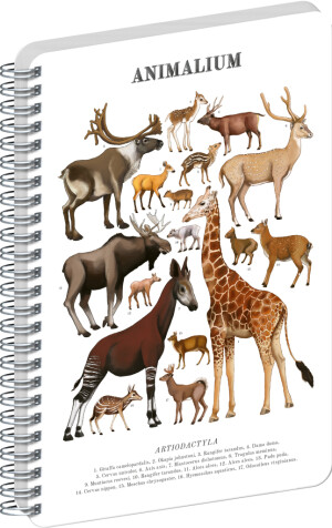 NOTIQUE Spiral notebook Animalium – Artiodactyls, clear, A5 - Reklamnepredmety