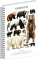 NOTIQUE Špirálový blok Animalium – Medveďovité šelmy, čistý, A4