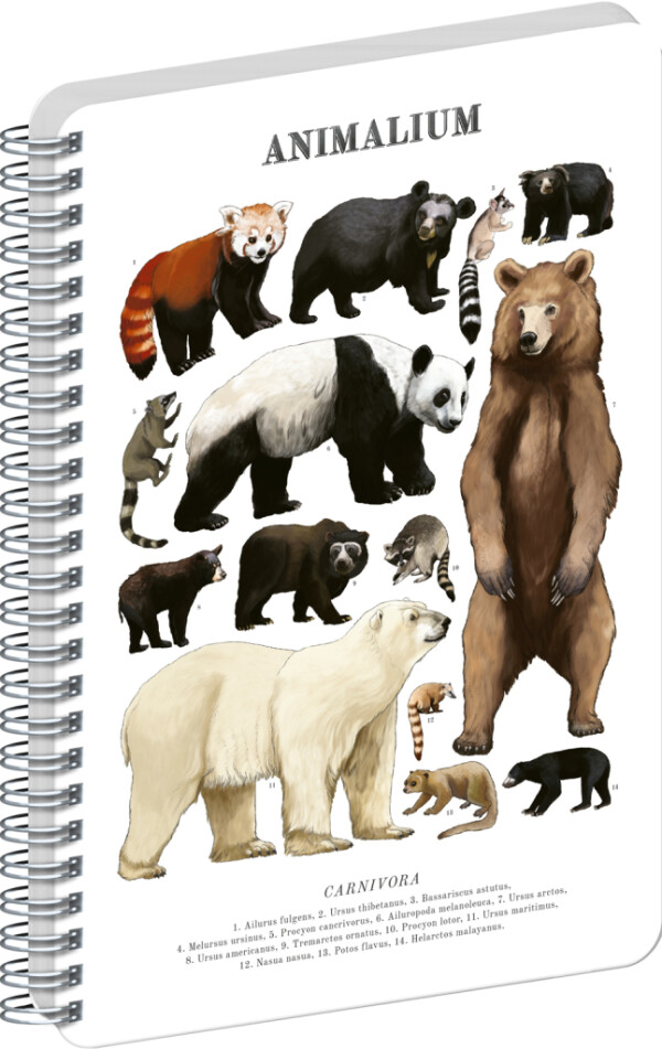 NOTIQUE Spiral notebook Animalium – Bears, clear, A5