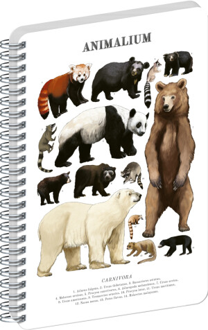NOTIQUE Spiral notebook Animalium – Bears, clear, A5 - Reklamnepredmety