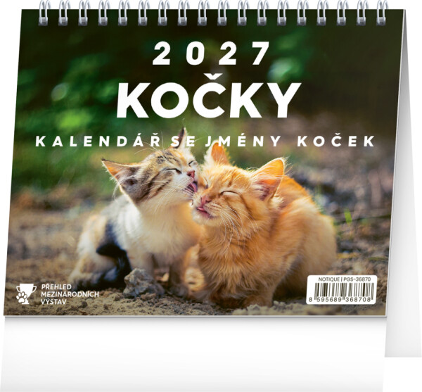 NOTIQUE Desk calendar Cats - with cat names CZ 2027, 16.5 x 13 cm