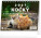 NOTIQUE Desk calendar Cats - with cat names CZ 2027, 16.5 x 13 cm
