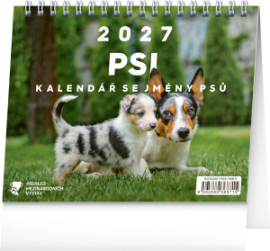NOTIQUE Desk calendar Dogs – with dog names CZ 2027, 16.5 x 13 cm - Reklamnepredmety