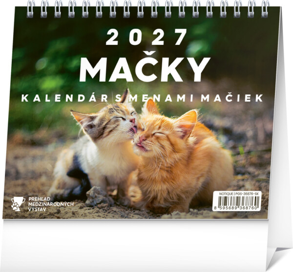 NOTIQUE Desk Calendar Cats - with cat names 2027, 16.5 x 13 cm
