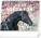 NOTIQUE Desk Calendar Poetry of Horses 2027, 16.5 x 13 cm